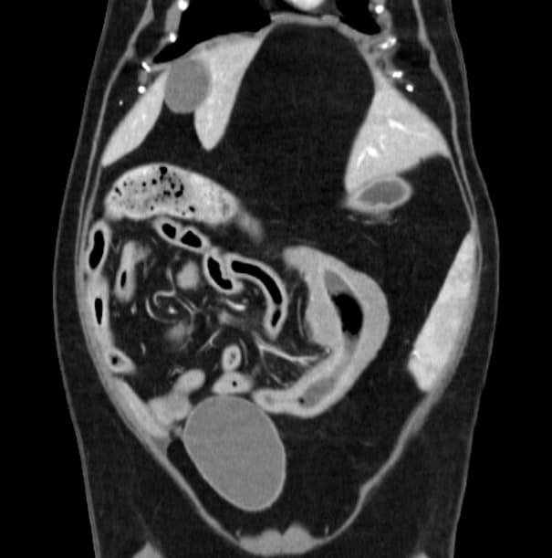 동탄시티동물의료센터 CT 검사실 전경